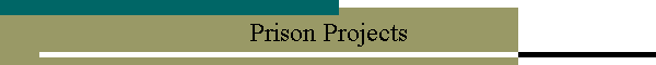 Prison Projects