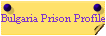 Bulgaria Prison Profile