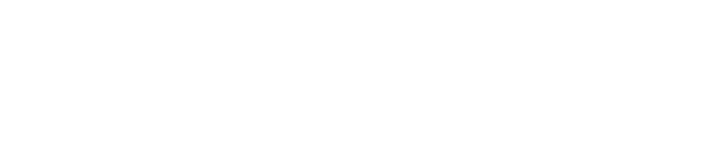 Development Report
