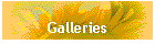 Galleries