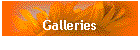 Galleries