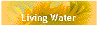 Living Water