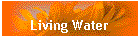 Living Water