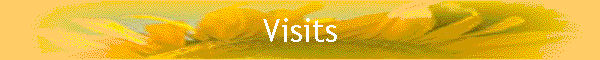 Visits