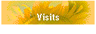 Visits