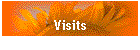 Visits