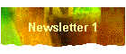 Newsletter 1