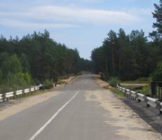 55.JPG